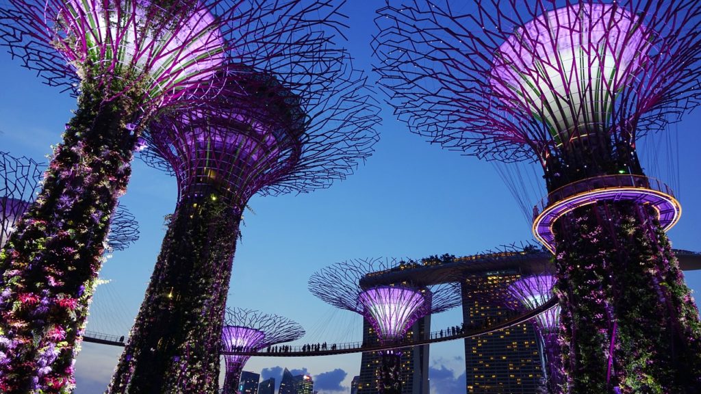 Gardens by the Bay in Singapore lit with purple lights as the sun goes down 