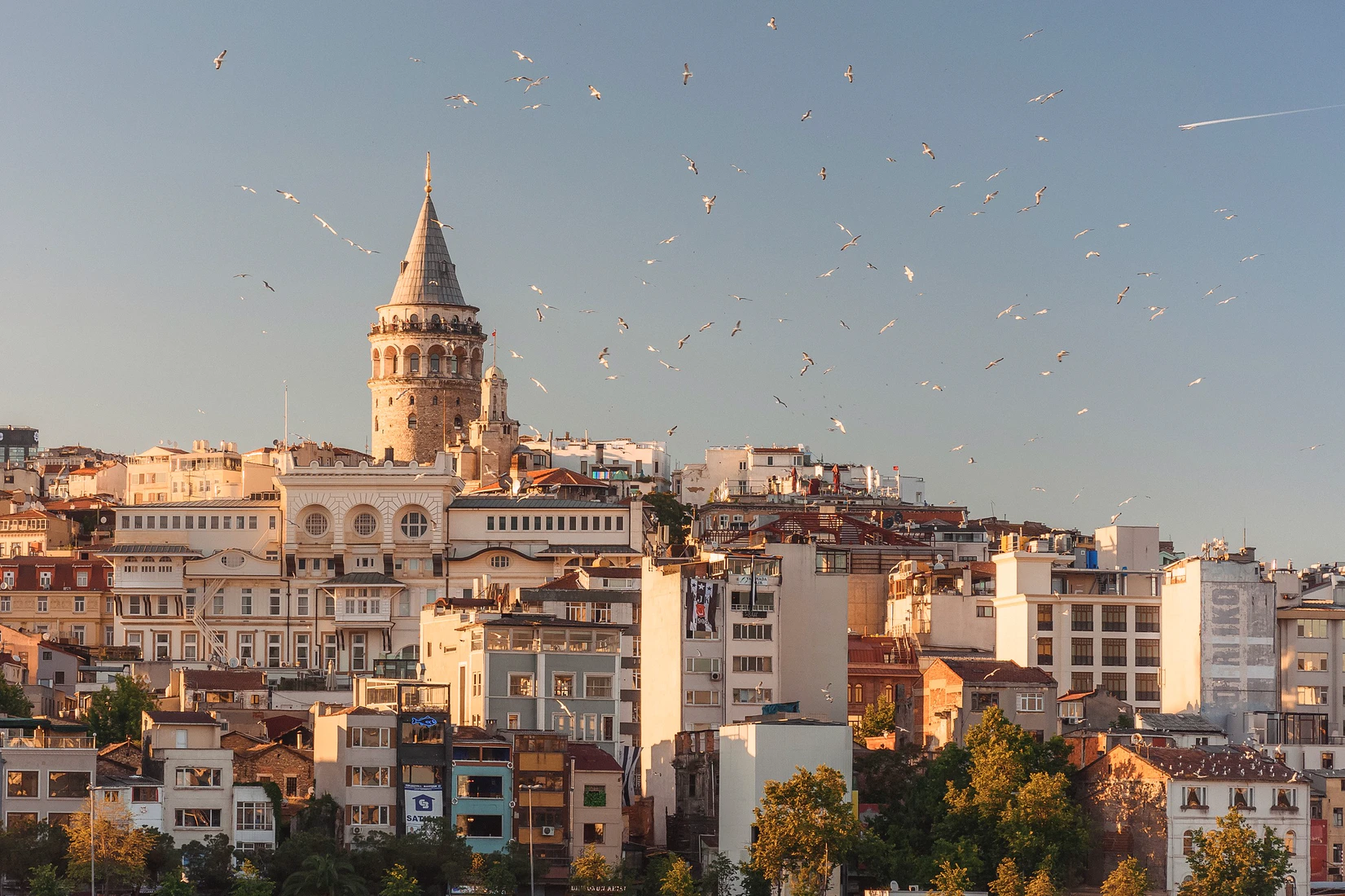 Birds flying above Istanbul, Turkey with residential buildings below